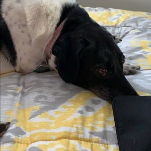 Meet your Posher, Linda